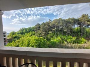 Vladan apartments B28