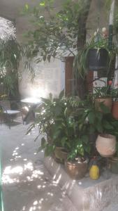 Adriana Downtown Guesthouse