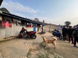 A Déjàvu homestay