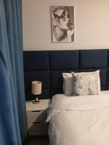 Amos airbnb