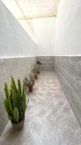 Ain El Turk Beach Apartment