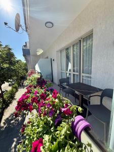 Villa24 Vlore