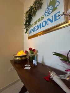 Domus Anemone B&B