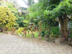 Vegan Stay Colombo Private Room & Meals