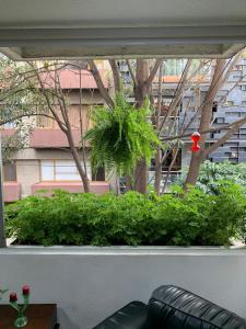 Hermosa Habitación y Baño Compartido Servicio de Comidas y Spa a 10 Cuadras de Reforma a la Altura del Angel
