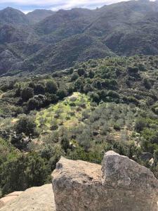 Casa in collina, con vista mare img13