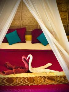 Coco Cottage Kite Surfing-Kalpitiya