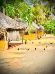 Coco Cottage Kite Surfing-Kalpitiya