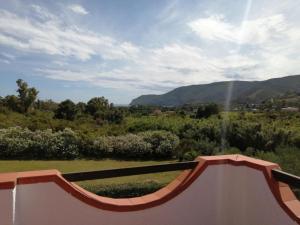 Orchis a Lacona - Goelba