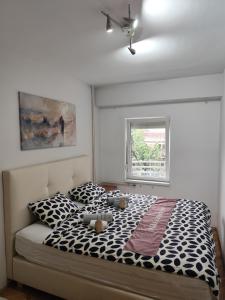 Nikas Apartment