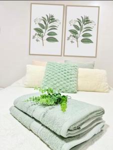 Apartamento H González #12