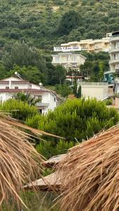 Villa Olive Hill New