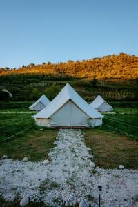 Aluna Camp