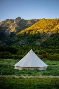 Aluna Camp