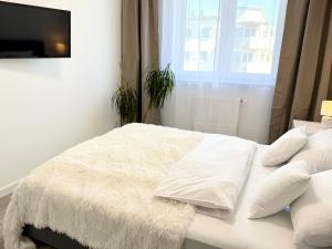 Gicek Apartament 29 z balkonem bezpłatny PARKING Faktura VAT 4 osobowy ARENA K-S SSE