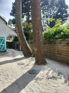 Maison à 50 M de la plage sous les pins