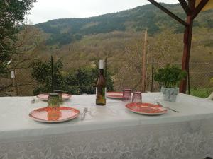 La caciaia di Bulcianella
