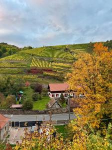 Ferienwohnung mit Weinbergblick