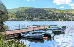 Amazing Apartment In Gerardmer With Lake View
