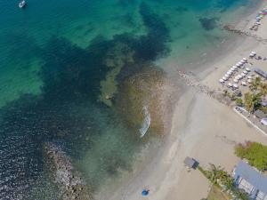 Beachfront Suite in La Cruz de Huanacaxtle