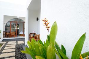 Home Riki