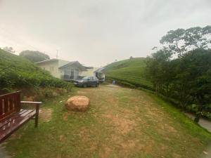 Misty Glen