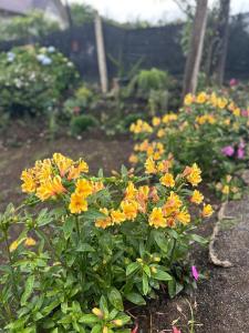Deshani Homestay