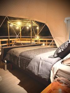 APPA Glamping