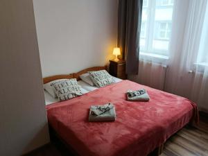 Apartment for guests