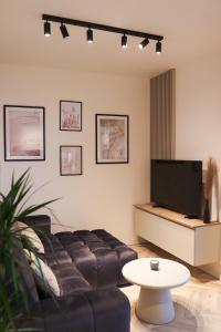 Apartment Trencin - modern apartment with free parking