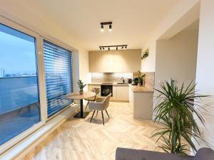 Apartment Trencin - modern apartment with free parking