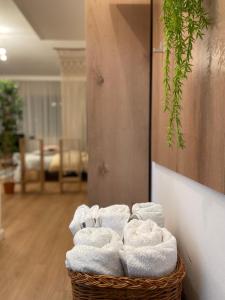 Studio Flat in the City Center