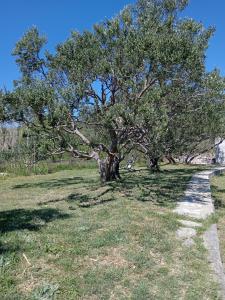 Dolce far niente studio apartman