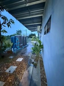 The House Pai 1-3