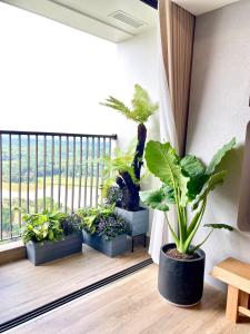 Lang Thang Homestay - Studio at the Ecopark