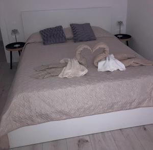 Host Soroka camere 2-4-6 posti
