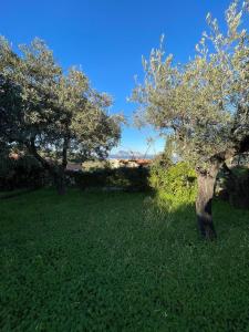 Villa Mustaro R img28