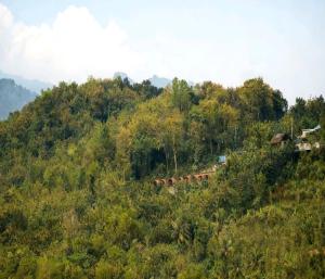 Cozzy Bitu Garden