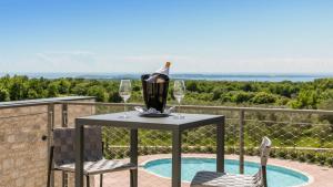 Luxury villa Voliera with wellness in Vodnjan