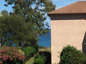 Studio cosy en bord de mer avec piscine