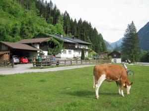 Ferienwohnung an der Saalach