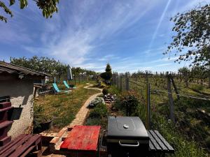 Winery oasis