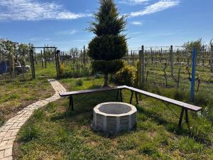 Winery oasis