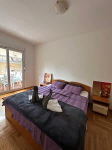 Mercury Apartments Budva