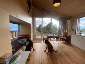 Guesthouse With Lake View