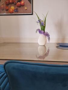 Apartment Branko with terrace, Old Town Labin