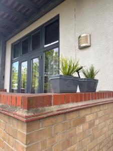 Bright, Spacious, Newly Renovated Apartment