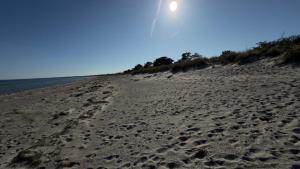 200m from the beach, Marielyst
