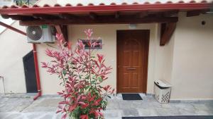 Beach Front House with Garden, in Pefkochori