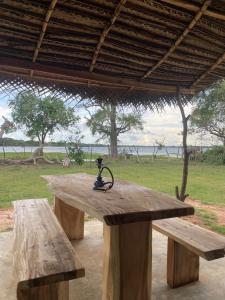Foresta Yala